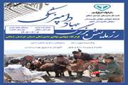 هفته دفاع مقدس و ارائه خدمات رایگان در قالب اردوی جهادی دامپزشکی در روستا و عشایر خراسان شمالی